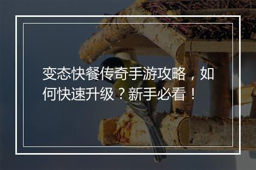 变态快餐传奇手游攻略,如何快速升级?新手必看!