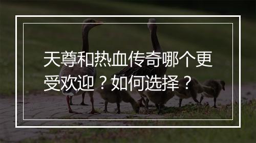 天尊和热血传奇哪个更受欢迎？如何选择？