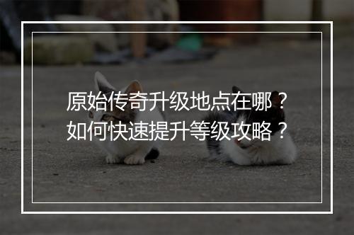 原始传奇升级地点在哪？如何快速提升等级攻略？