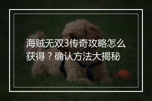 海贼无双3传奇攻略怎么获得？确认方法大揭秘