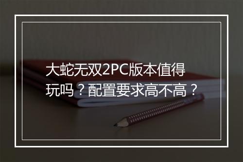 大蛇无双2PC版本值得玩吗？配置要求高不高？