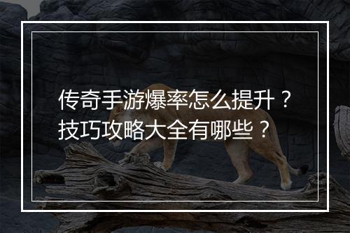 传奇手游爆率怎么提升？技巧攻略大全有哪些？