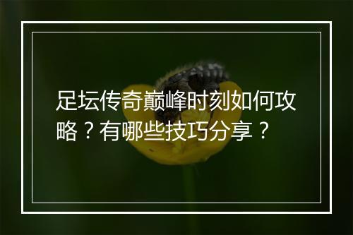 足坛传奇巅峰时刻如何攻略？有哪些技巧分享？