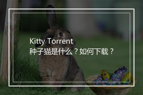 Kitty Torrent种子猫是什么？如何下载？