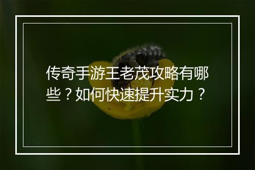 传奇手游王老茂攻略有哪些？如何快速提升实力？