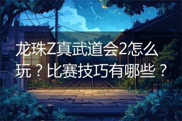 龙珠Z真武道会2怎么玩？比赛技巧有哪些？