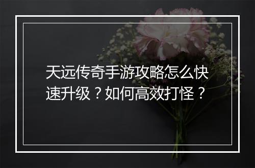天远传奇手游攻略怎么快速升级？如何高效打怪？