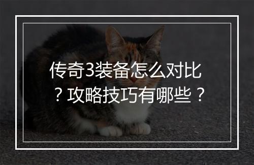 传奇3装备怎么对比？攻略技巧有哪些？