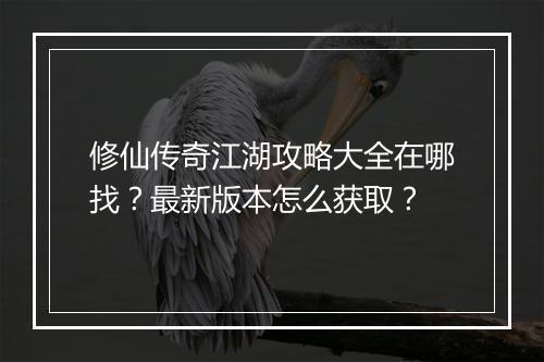 修仙传奇江湖攻略大全在哪找？最新版本怎么获取？