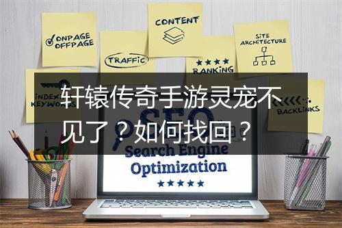 轩辕传奇手游灵宠不见了？如何找回？