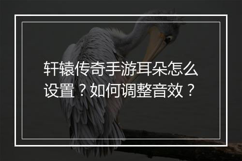 轩辕传奇手游耳朵怎么设置？如何调整音效？