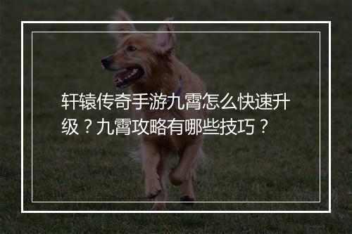 轩辕传奇手游九霄怎么快速升级？九霄攻略有哪些技巧？