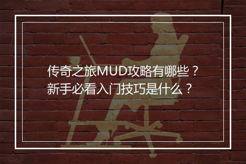 传奇之旅MUD攻略有哪些？新手必看入门技巧是什么？
