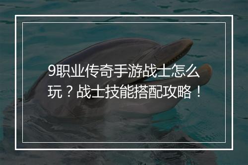 9职业传奇手游战士怎么玩？战士技能搭配攻略！