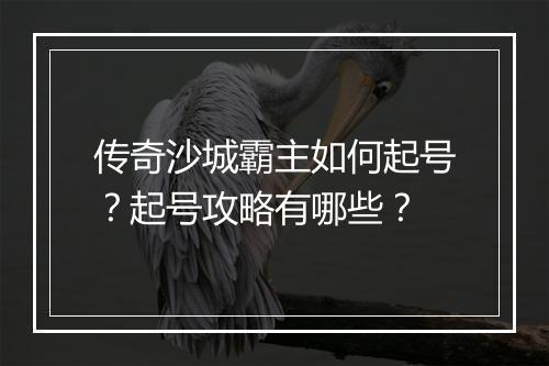 传奇沙城霸主如何起号？起号攻略有哪些？