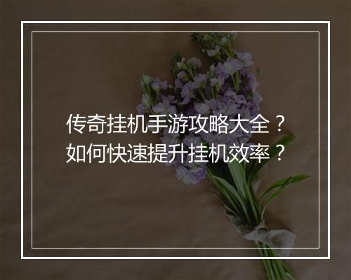 传奇挂机手游攻略大全？如何快速提升挂机效率？