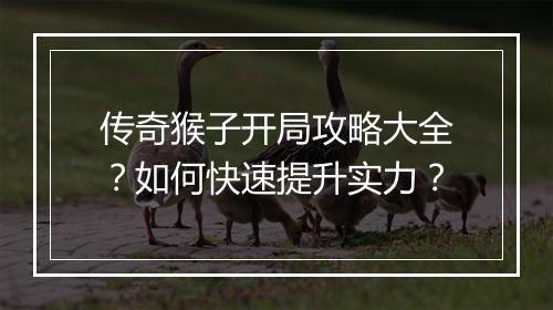 传奇猴子开局攻略大全？如何快速提升实力？