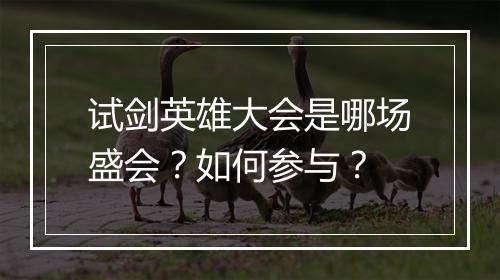 试剑英雄大会是哪场盛会？如何参与？