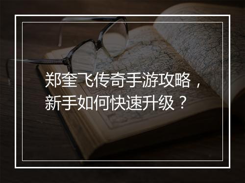 郑奎飞传奇手游攻略，新手如何快速升级？