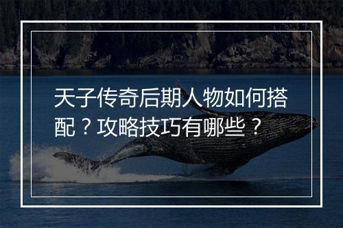 天子传奇后期人物如何搭配？攻略技巧有哪些？