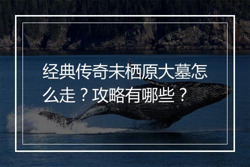经典传奇未栖原大墓怎么走？攻略有哪些？