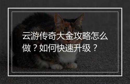 云游传奇大金攻略怎么做？如何快速升级？