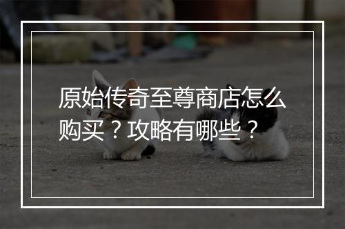 原始传奇至尊商店怎么购买？攻略有哪些？