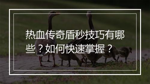 热血传奇盾秒技巧有哪些？如何快速掌握？