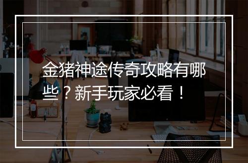 金猪神途传奇攻略有哪些？新手玩家必看！