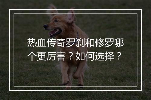 热血传奇罗刹和修罗哪个更厉害？如何选择？