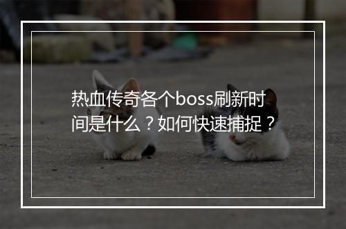 热血传奇各个boss刷新时间是什么？如何快速捕捉？