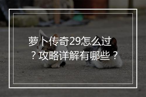 萝卜传奇29怎么过？攻略详解有哪些？