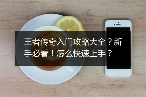 王者传奇入门攻略大全？新手必看！怎么快速上手？