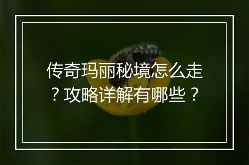 传奇玛丽秘境怎么走？攻略详解有哪些？