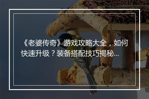 《老婆传奇》游戏攻略大全，如何快速升级？装备搭配技巧揭秘？