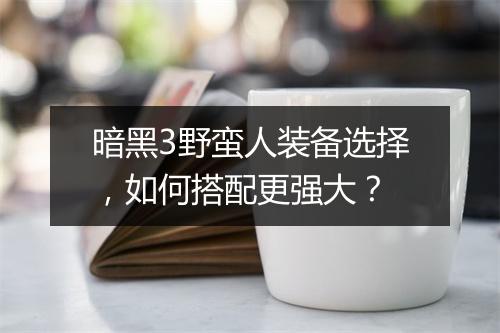 暗黑3野蛮人装备选择，如何搭配更强大？