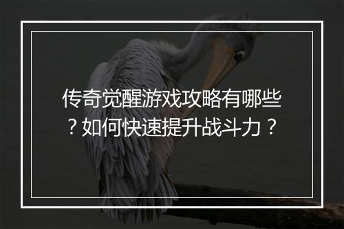 传奇觉醒游戏攻略有哪些？如何快速提升战斗力？