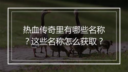 热血传奇里有哪些名称？这些名称怎么获取？