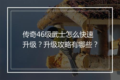 传奇46级武士怎么快速升级？升级攻略有哪些？