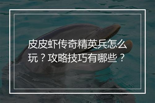 皮皮虾传奇精英兵怎么玩？攻略技巧有哪些？
