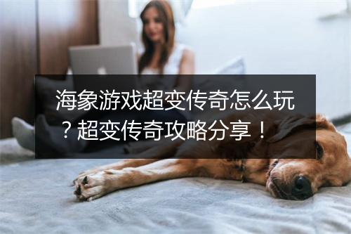 海象游戏超变传奇怎么玩？超变传奇攻略分享！