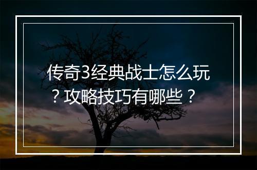 传奇3经典战士怎么玩？攻略技巧有哪些？