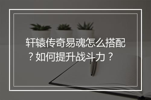 轩辕传奇易魂怎么搭配？如何提升战斗力？