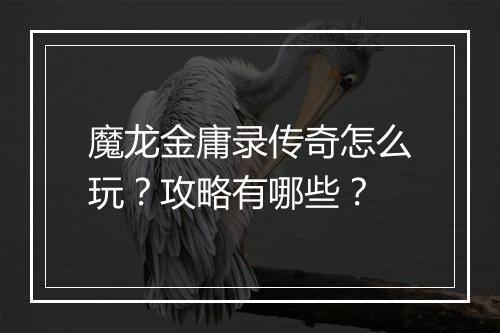 魔龙金庸录传奇怎么玩？攻略有哪些？