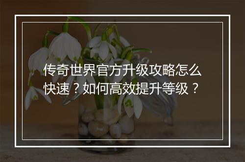 传奇世界官方升级攻略怎么快速？如何高效提升等级？