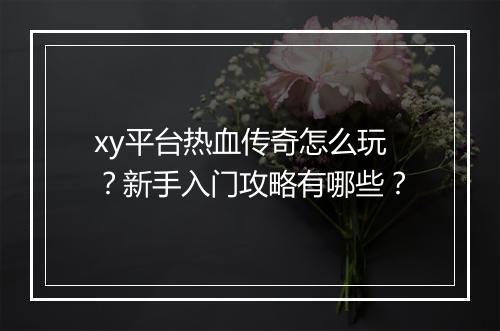 xy平台热血传奇怎么玩？新手入门攻略有哪些？