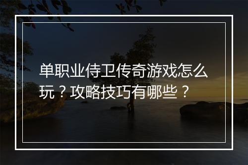 单职业侍卫传奇游戏怎么玩？攻略技巧有哪些？