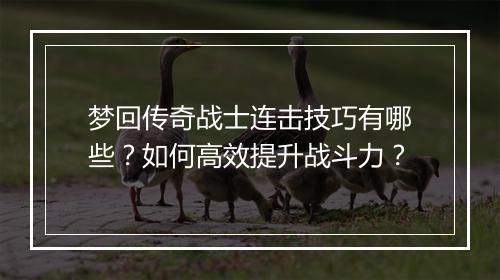 梦回传奇战士连击技巧有哪些？如何高效提升战斗力？