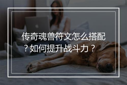 传奇魂兽符文怎么搭配？如何提升战斗力？