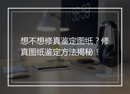 想不想修真鉴定图纸？修真图纸鉴定方法揭秘！